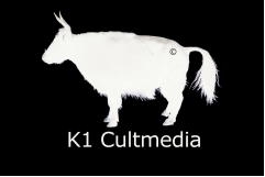 K1 Cultmedia